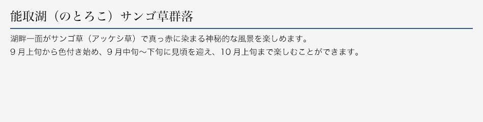 能取湖（のとろこ）サンゴ草群落