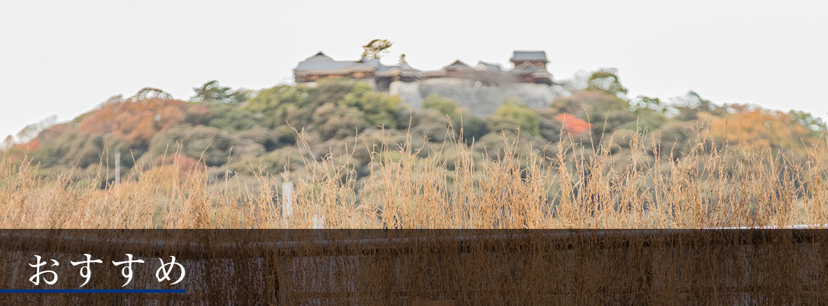 ドーミーインめぐり　おすすめ