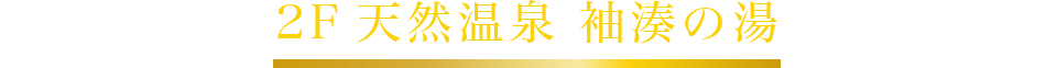 天然温泉大浴場「袖湊の湯」
