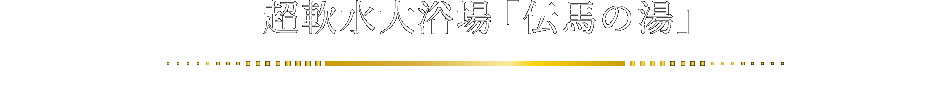 超軟水大浴場 天然温泉「伝馬の湯」