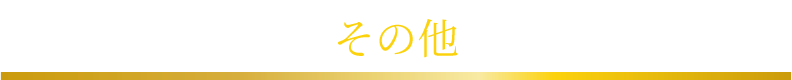 その他