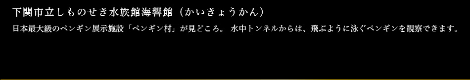 下関市立しものせき水族館海響館（かいきょうかん）