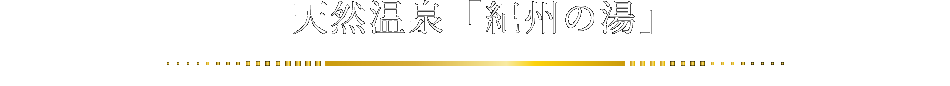 天然温泉「紀州の湯」