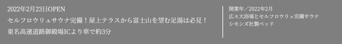 セルフロウリュサウナ完備！屋上テラスから富士山を望む足湯は必見！